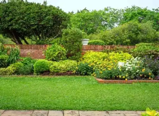 landscaping services Skyline-Ganipa